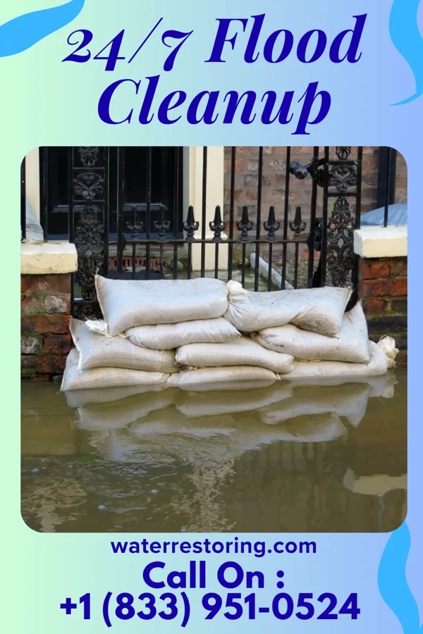 24/7 Flood Cleanup in Colonial Heights, TN