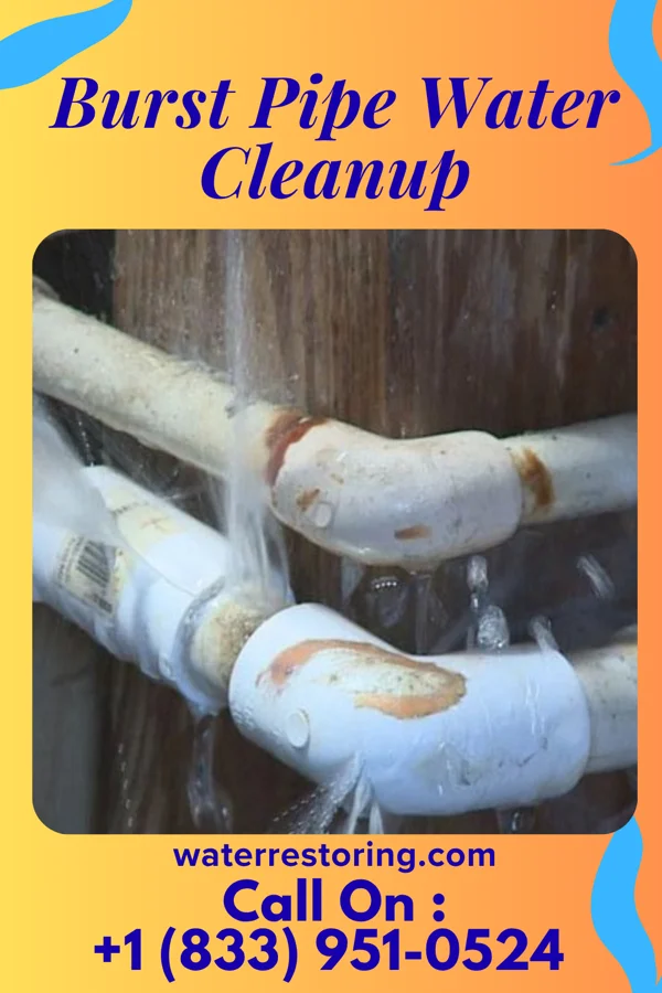 Burst Pipe Water Cleanup in Colonial Heights, TN