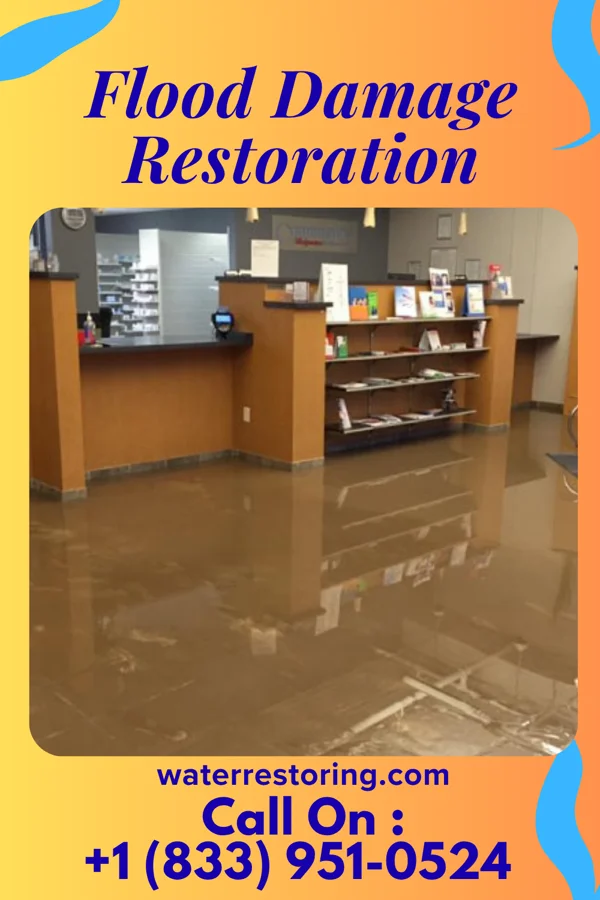 Flood Damage Restoration in Colonial Heights, TN