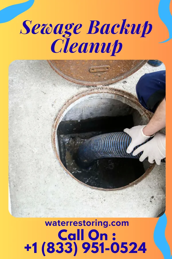 Sewage Backup Cleanup in Colonial Heights, TN