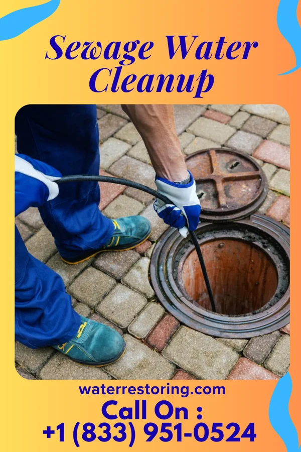 Sewage Water Cleanup in Colonial Heights, TN
